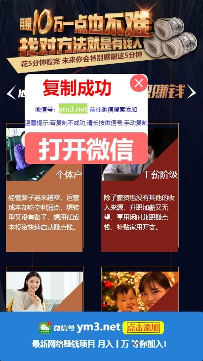 单页引流源码下载-百度竞价单页/微信引流吸粉加好友源码/SEO单页收录推广模板-图3