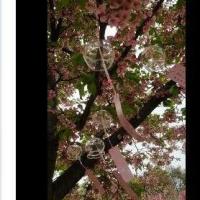 价值50元的微信流量 抖音快手短视频去水印小程序源码独立版