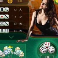 骰宝H5最新源码,最新骰宝最终幻想宝塔运营版，直接打包的完整版