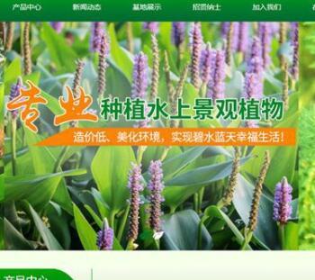 绿色景观树木种植类网站源码 景观绿植苗木农业种植织梦网站模板