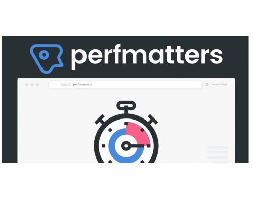 [wordpress插件] 【已激活版】Perfmatters v1.9.9 WordPress优化插件中文版