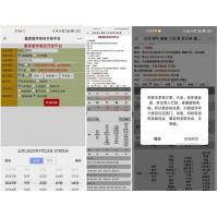 九龙道长同款样式八字排盘程序 八字排盘算命源码