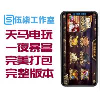 最新天马电玩一夜暴富完美服务器打包版本/完整