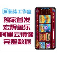 【独家首发】最新更新富贵最新版宏辉鱼乐阿里云镜像打包+完整数据