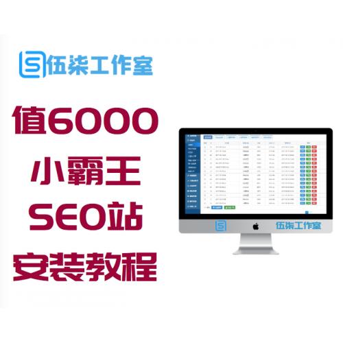 价值6000元的小霸王SEO站群v6.3+安装教程