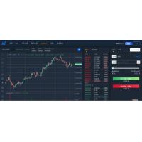 NFT交易所IEO认购期权交易所秒合约合约理财交易所带vue