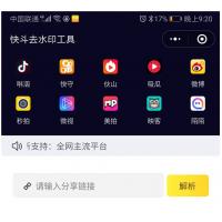 新版短视频去水印源码 去水印微信小程序源码网站 去水印软件源码