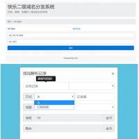 PHP二级域名分发网站源码商业版全开源