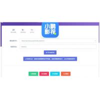 影视VIP解析网站HTML源码 多接口