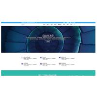 [wordpress模版] WordPress多风格主题Divi Theme v4.8.1破解版