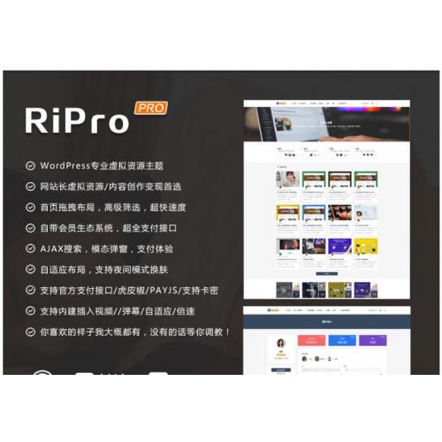 价值800元的 WordPre日主题RiPro v8.6破解虚拟资源下载类主题（完美无错版）