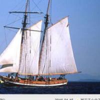 织梦dedecms通用商务咨询商标注册认证企业网站模  板