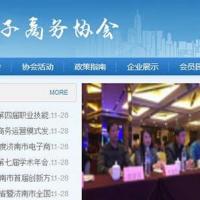 电子商务协会部门单位类织梦模板(带手机端)+PC+wap+利于SEO优化