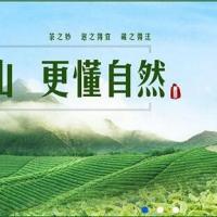 绿色茶叶种植基地类网站织梦模板(带手机端)+PC+移动端+利于SEO优化