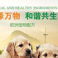 宠物动物机构类网站织梦模板(带手机端)+PC+移动端+利于SEO优化