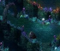 2.5D即时战斗角色扮演网页游戏源码 屠龙online源代码