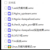 java集群视频教程