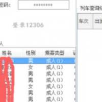 12306 自动抢票软件源码(易语言)