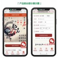 2020赚钱新项目宝宝起名/八字起名/周易取名/周易八字起名网站在线付