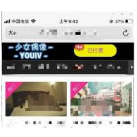 2021版最新打赏视频/自带防封