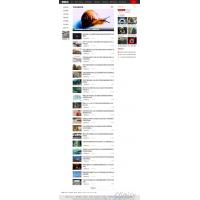 帝国cms内核仿探秘志源码 猎奇未解之谜网站模板