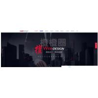 高端企业交互式DISCUZ!商业模板V1.1 网络公司企业网站源码