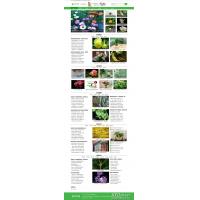 [其他模板] (PC+WAP)花卉养殖新闻资讯类pbootcms模板 绿色花草植物网站源码下载